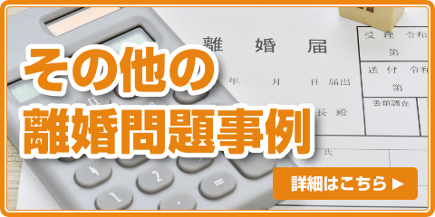 その他の離婚問題事例